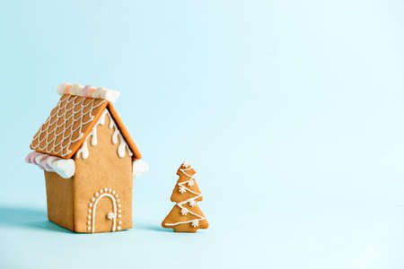 Happy New Year's set of gingerbread house and xmas tree biscuits and house glazed sugar icing...