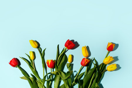 Yellow red tulip flowers bouquet with hard shadow on blue, copy space. Banner for seasonal holiday, springtime concept, International Woman day, 8 march, Happy Easter greeting flyer, invitationの写真素材