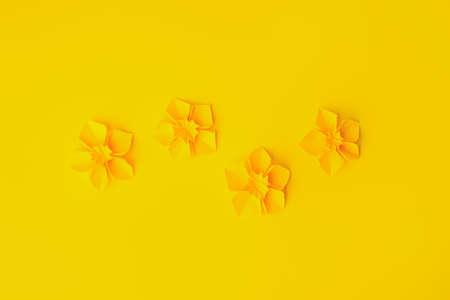 Happy Easter paper craft for kids. Paper DIY seasonal flowers narcissus on yellow background. Spring decor, reate art for children, daycare, kindergarten, flyer greeting card, holiday conceptの写真素材