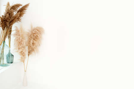 White beige minimal decorated bedroom in Scandinavian and Boho style. Pampas grass in bouquets, copy space for your text, trendy stylish interior design, neutral color, monochrome, bannerの写真素材