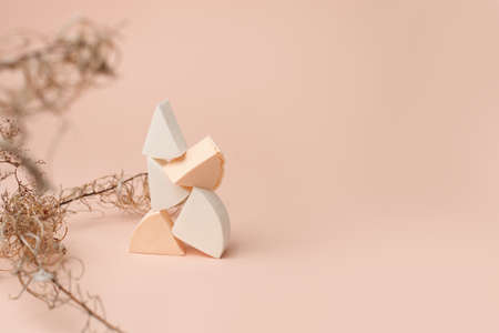 Cosmetic sponges on a beige background, modern trendy still life, monochrome, earth tones, neutral, dry herb, beauty industry concept, makeup, facial care, blogger style, banner, flyer, couponの写真素材