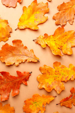 Autumn composition. Pattern from of autumn leaves on beige neutral background. Flat lay, top view,...