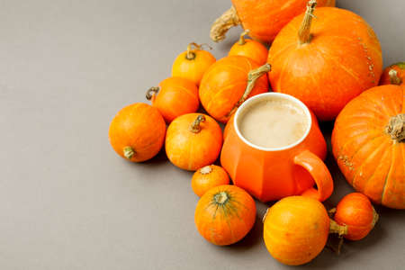 Pumpkin Spice Latte. Cup of Latte with Seasonal Autumn Spices, Cookies and Fall Decor from fresh orange pumpkins on gray background. Traditional Coffee Drink for Autumn Holidays, copy spaceの写真素材