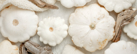 Autumn fall composition. Feminine desk table with knitted scarf and white squash pumpkin on white background. Flat lay, topview. Nordic, hygge, cozy home concept, monochrome, abstractの写真素材