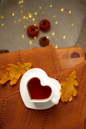 Autumn Still Life: Tea and oak leaves, knitted warming scarf or plaid on a wooden table. Fall season...