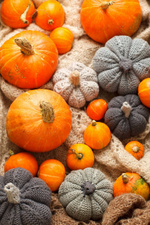 Cozy autumn still life with pumpkins, knitted woolen plaid and decor. autumn home decor. Warming fall mood. Autumn holiday, weekend. thanksgiving. Halloween. Banner, flyer, greeting cardの写真素材