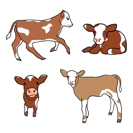 Set of cute spotted calf. Little cow runs, sniffs, walks, lies. Vector decor element for kids t-shirt design. Isolated animals on the white background.のイラスト素材