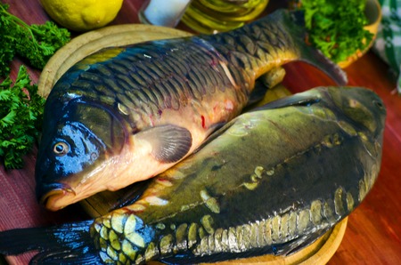 fresh raw fish carp on a wooden board in the kitchenの写真素材