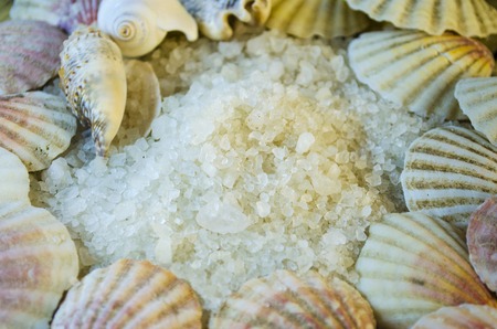 White large sea salt close-up and seashellsの写真素材