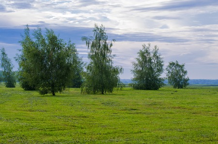 Spring countryside landscape in cloudy and rainy weatherの写真素材