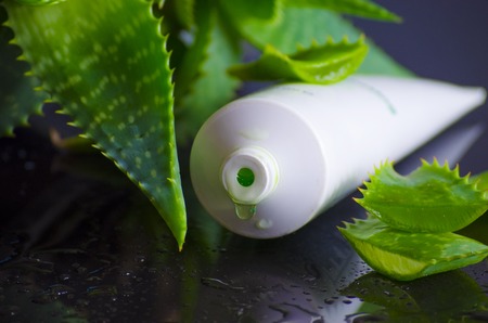 beauty products for spa with aloe vera on a black backgroundの写真素材