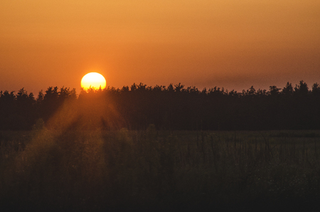A gloomy sunset in a field in a vacant lotの写真素材