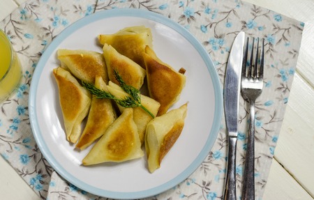 roasted triangles with meat, fast food from ready-frozen foodsの写真素材