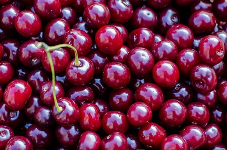 background of ripe cherry berries close-upの写真素材