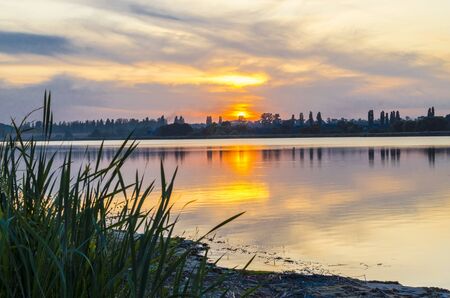 riverbank at sunset in summer in the countryside