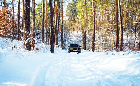 a dark colored passenger car drives through a winter forest off-road in the snowの写真素材