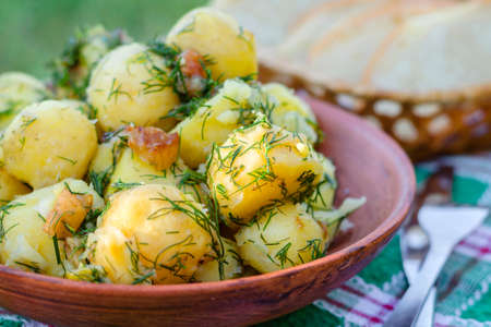 Boiled young potatoes with dill and cracklings in a clay bowlの写真素材