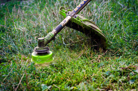 petrol cutter trimmer in operation. Close-up of grass mowing
