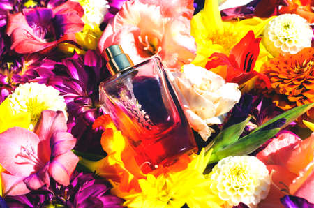 Bottles of women's perfume against a background of various fresh flowers. Bright floral scents.の写真素材