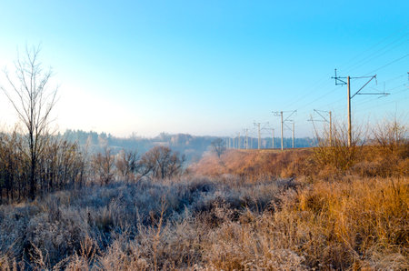 winter landscape. Frost on the grass of a meadow in the countryside. Morning sun and fogの写真素材