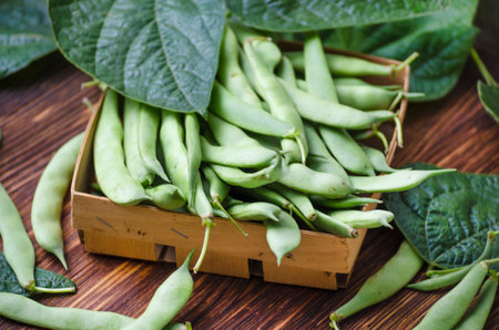 Young green beans, pods of fresh green beans on the tableの写真素材