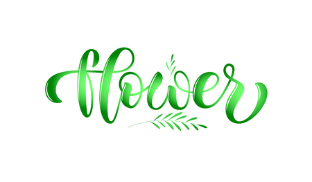 Vector calligraphy lettering for online website, web page, internet site, blog icon. illustration EPS 10. Drawn art sign, print, card for shop, catalog, print, label, logotype, email template, bookletのイラスト素材