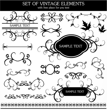 set of calligraphic vintageのイラスト素材