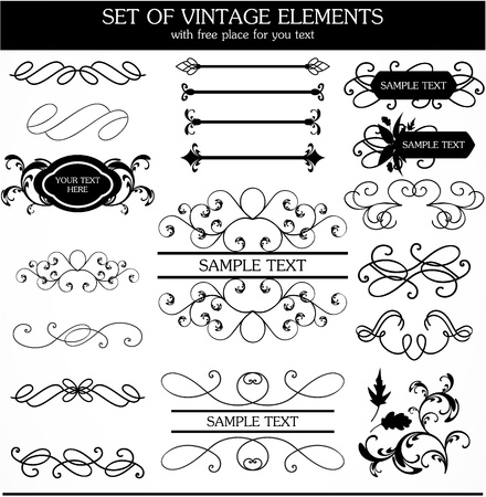 set of calligraphic vintageのイラスト素材