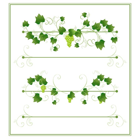 floral frame with grapesのイラスト素材