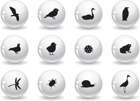 Web buttons, birds and insectsのイラスト素材