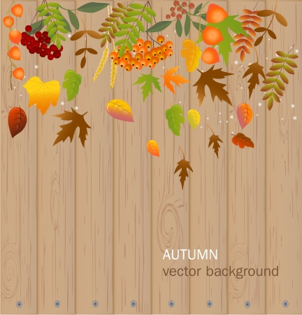 Autumn backgroundのイラスト素材