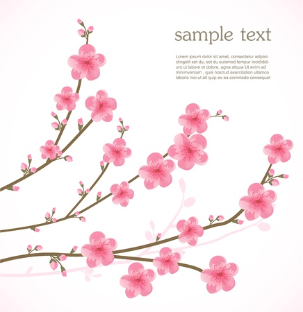 Cherry blossom cardのイラスト素材