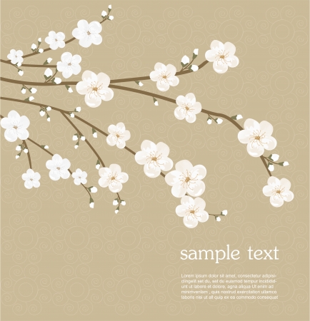 Cherry blossom cardのイラスト素材