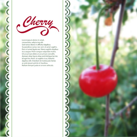 Cherries blurred background with space for textのイラスト素材