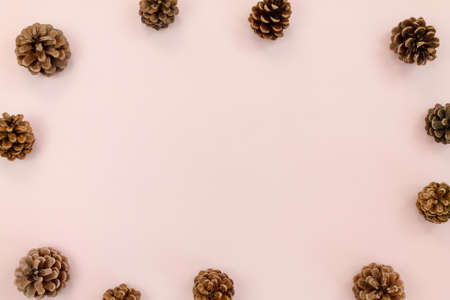 Pastel pink background with pine cones at the edges. Copy space, top view.の写真素材