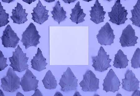 Leaf background in the color of the year 2022 very peri with space for text, mockup. High quality...