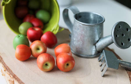 Decorative composition of miniature apples and garden tools. Educational toys for children made of polymer clayの写真素材