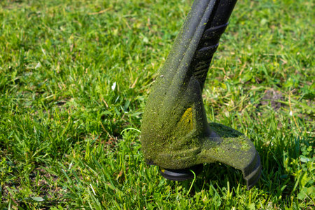 close up shot of gasoline trimmer head with nylon line cutting fresh green grass to small pieces....