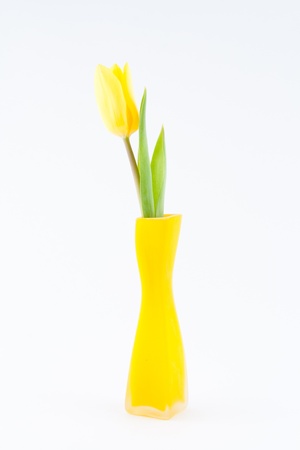 yellow tulip in a vaseの写真素材