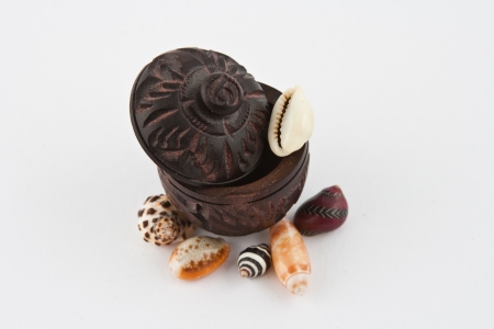 wooden vintage case with shells
