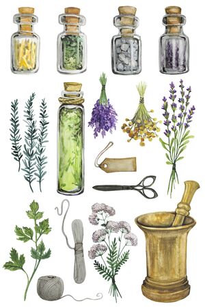 Watercolor drawing magic herbal setの写真素材