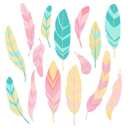 decorative bird feather set on the white backgroundのイラスト素材