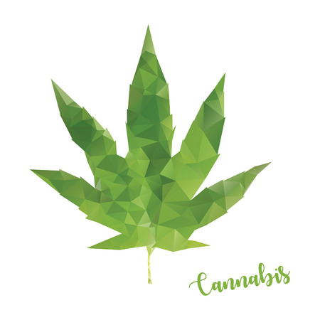 Cannabis low poly leaf isolated on white background with lettering. Green plantのイラスト素材