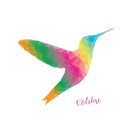Low poly colibri bird colorful. Colibri polygonal colorfulのイラスト素材