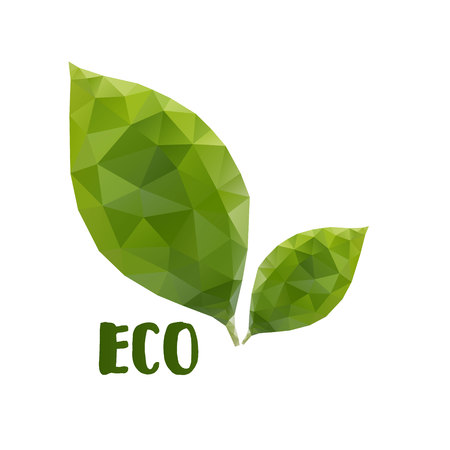 Low poly leafs. Eco conceptのイラスト素材