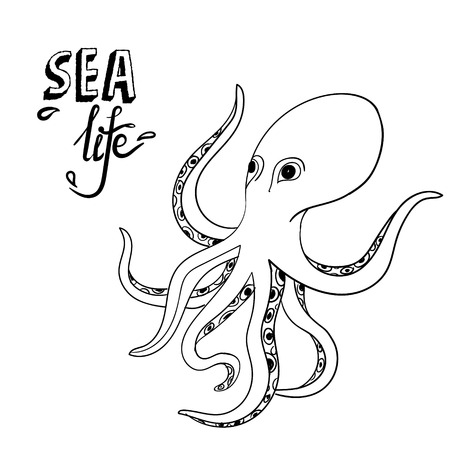 Hand drawn octopus. Sketch wild sea life. Creature in the ocean isolatedのイラスト素材