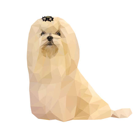 Polygonal vector of a small Shih Tzu dogのイラスト素材