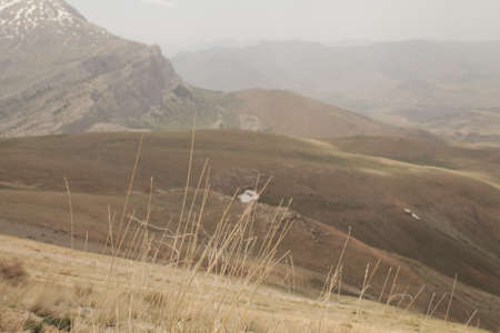 Spring in the mountainsの写真素材