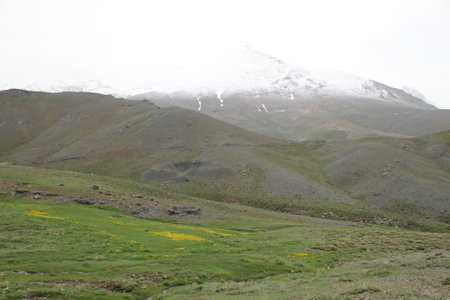 Spring in the mountainsの写真素材