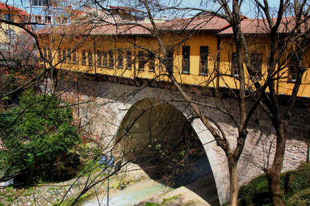 View of the yellow arched Setbasi Koprusu bridge over the river with tree branches in the foreground in the city of Bursa, Turkeyの写真素材